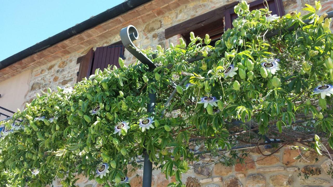 Agriturismo Podere San Lorenzo 1866 Massa Marittima Exterior foto